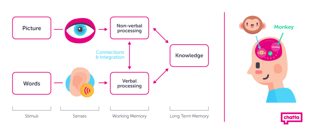 How Dual Coding Theory Improves Learning 1